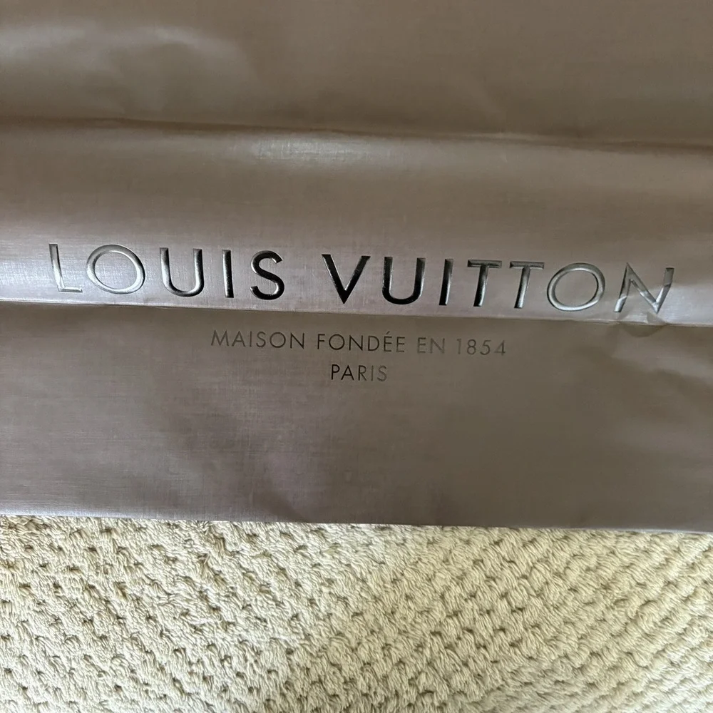 Louis Vuitton Paper Shopping/Gift Bag Classic Brown 19x16x9